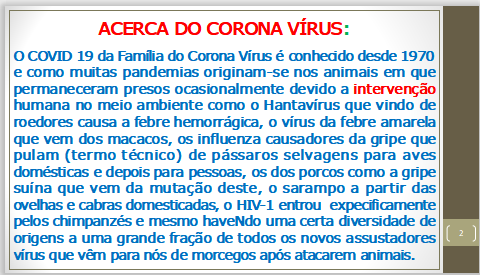 instituto, ayahuasca, erotica, verdade, maome